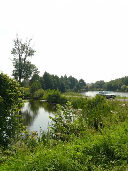  - Zespół pałacowo-parkowy Wołłowiczów. 